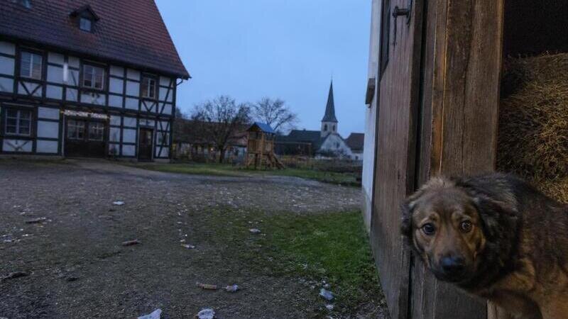 Verbieten Sie Silvesterfeuerwerk im Dorf