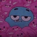 avatar of the starter