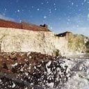 avatar of the starter