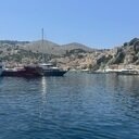 avatar of the starter