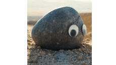 avatar of the starter