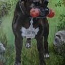 avatar of the starter