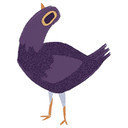 avatar of the starter