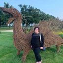 avatar of the starter