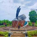 avatar of the starter