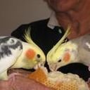 avatar of the starter