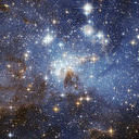 avatar of the starter