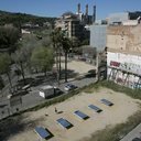 avatar of the starter