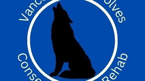 Vancouver Sea Wolves Conservation & Rehab launches.