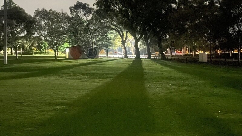 Save our beloved park trees from being cut down