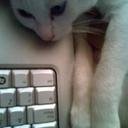 avatar of the starter