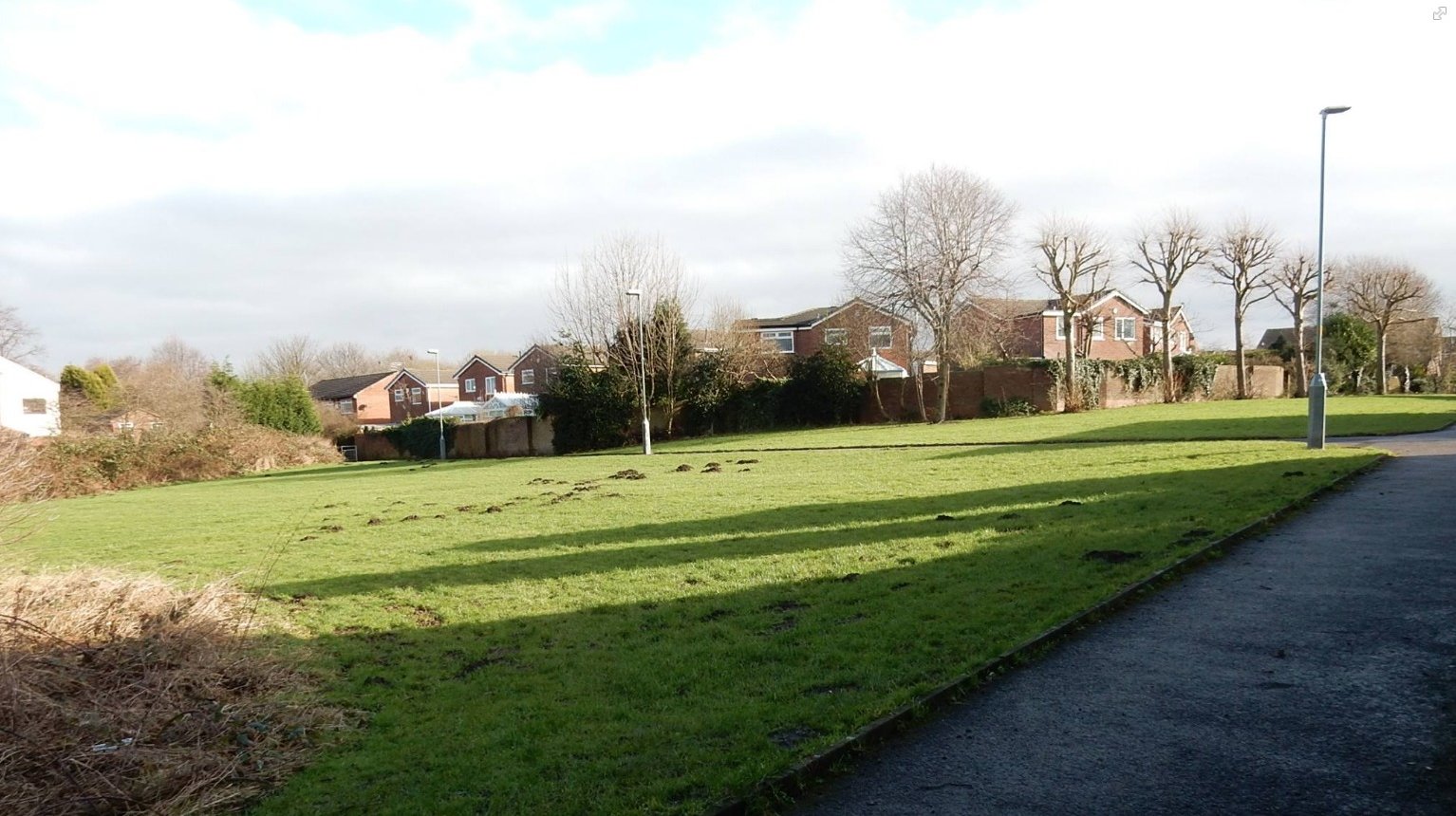Petition · Tameside Metropolitan Borough Council Save the Back Field