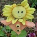 avatar of the starter