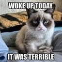 avatar of the starter