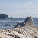 avatar of the starter