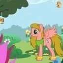 avatar of the starter