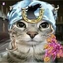 avatar of the starter