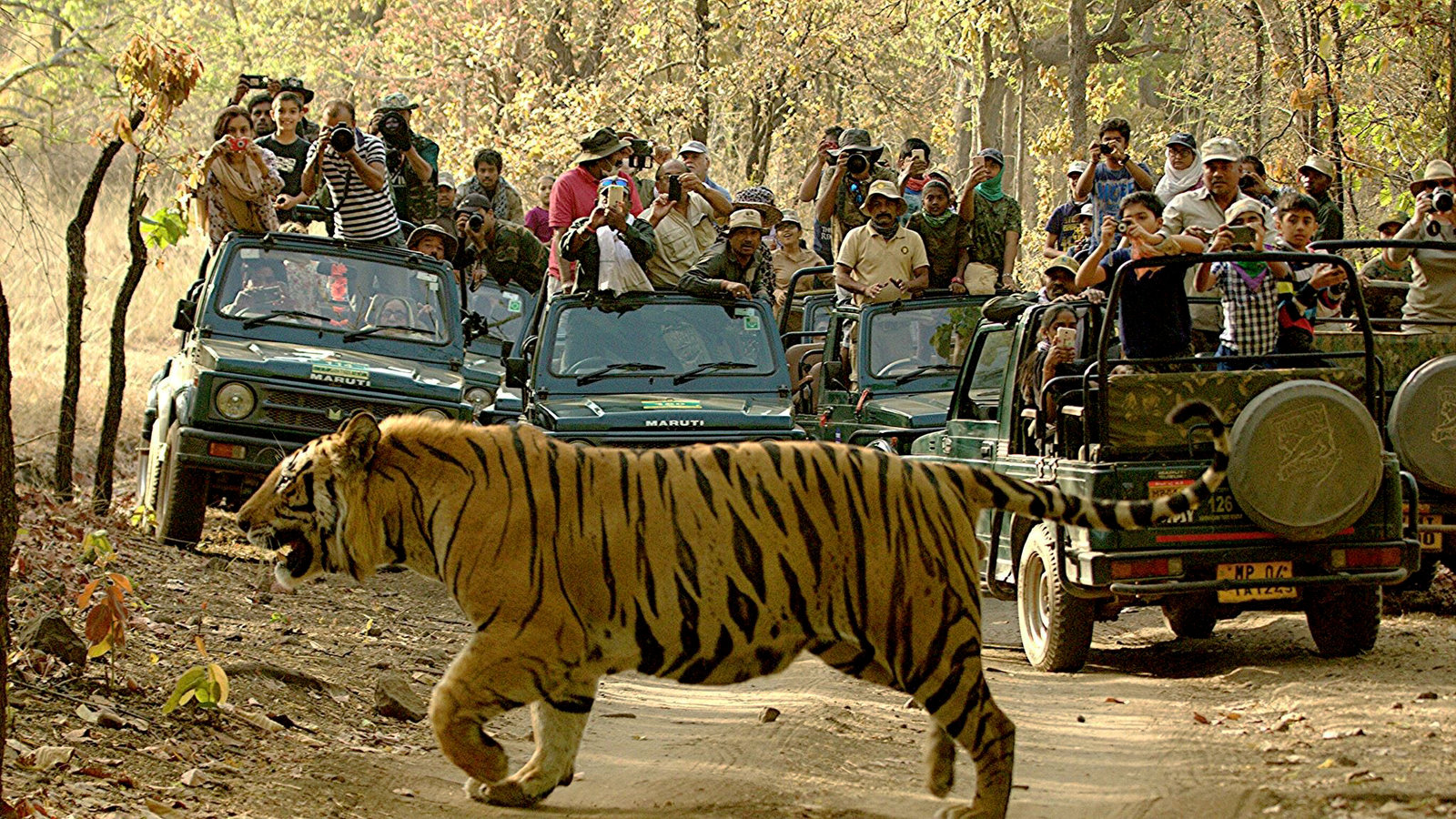 Petition · Shri Anil Madhav Dave Implement Wildlife National Park