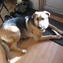 avatar of the starter