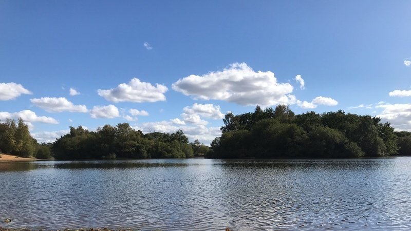 Feasibility study for swimming pond