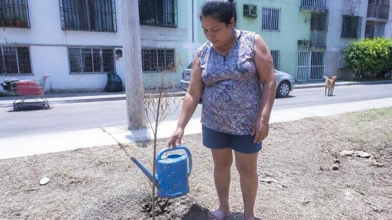 Exigir la cancelación de la IA y fomentar el uso de ECOGPT