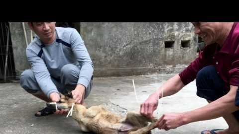 A REALLY BAD HARD TO WATCH-IMPOSSIBLE TO ME BUT IF NEEDED IT PROVES THE UNBELIEVABLE CRUELTY AND TOR