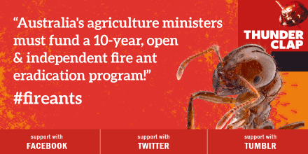 Last chance on fire ants