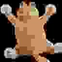 avatar of the starter