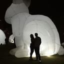 avatar of the starter