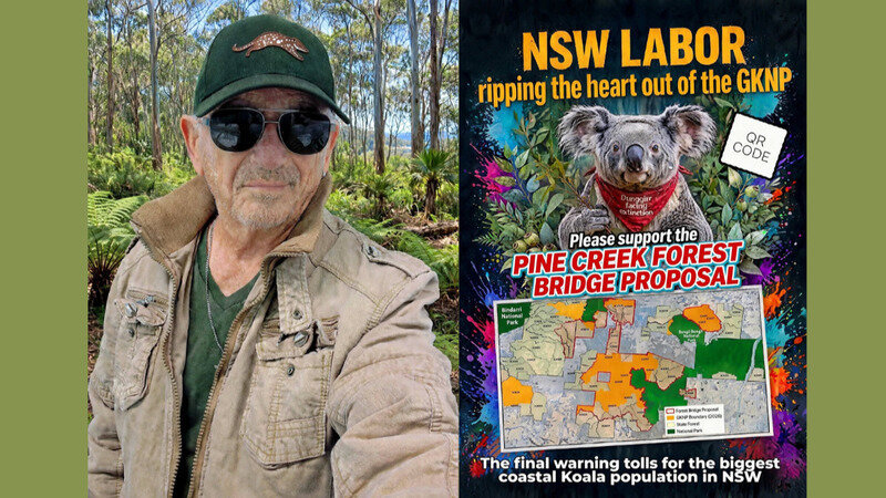 Dunggirr (Koala) Vigil in Parliment this week - your support needed