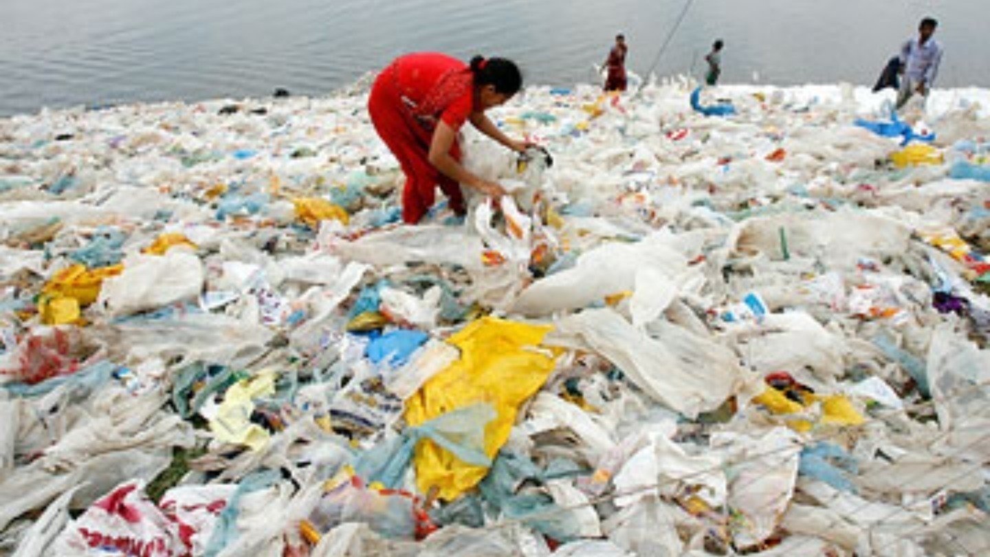 Petition · Doug McMillon Replace SingleUse Plastic Bags with Reusable