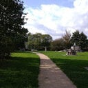 avatar of the starter