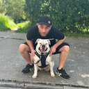 avatar of the starter