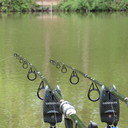 avatar of the starter