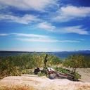 avatar of the starter