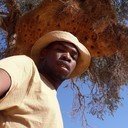 avatar of the starter