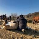 avatar of the starter