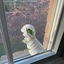 avatar of the starter