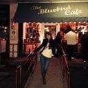 avatar of the starter