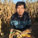 avatar of the starter