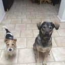 avatar of the starter