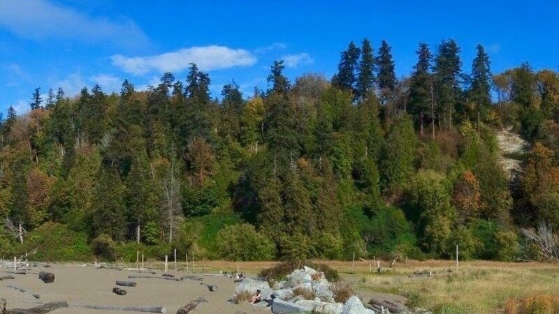 We’re at 238 signatures — help us break through the next milestone!