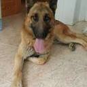 avatar of the starter