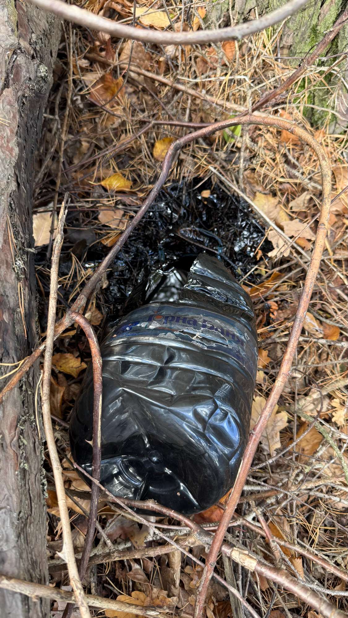 Gallone mit Erdöl mitten im Wald