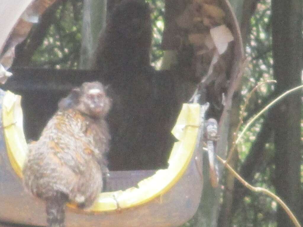Mora na Gruta da Lapa