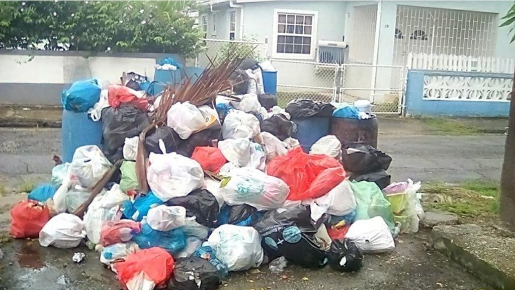 Petition · Improve garbage collection service to reduce health risk