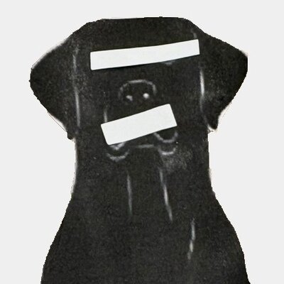 ChangeOrg profile picture for @tod
