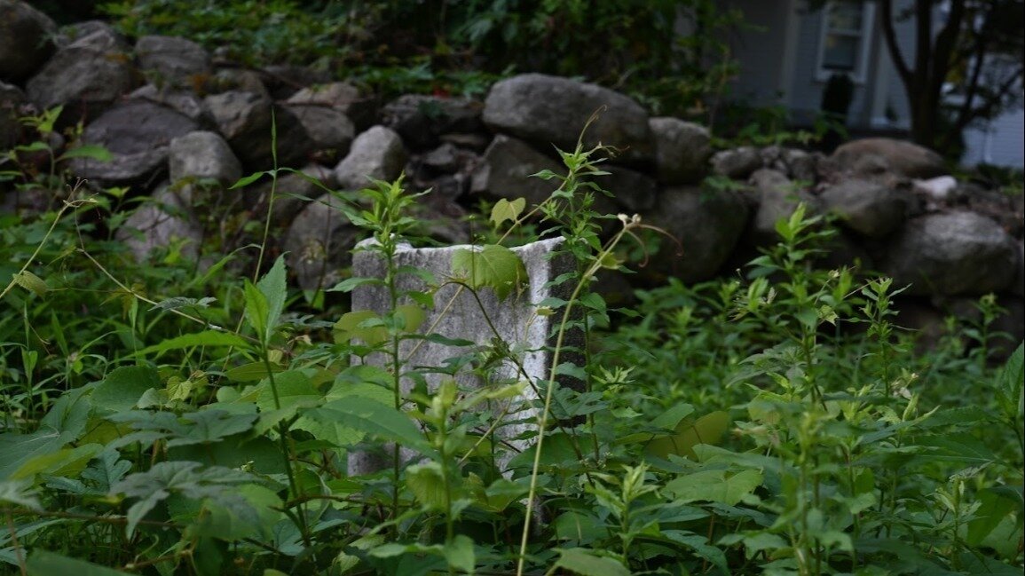 Petition · Help Save New Canaan's Cemeteries United States ·