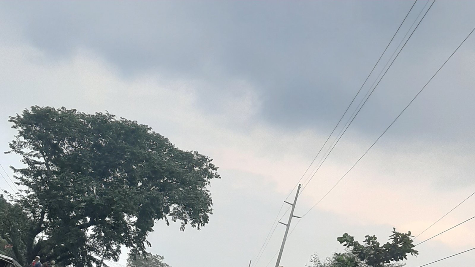 Silang Tree Petition · Stop the cutting of Trees along Silang - Aguinaldo Highway ...
