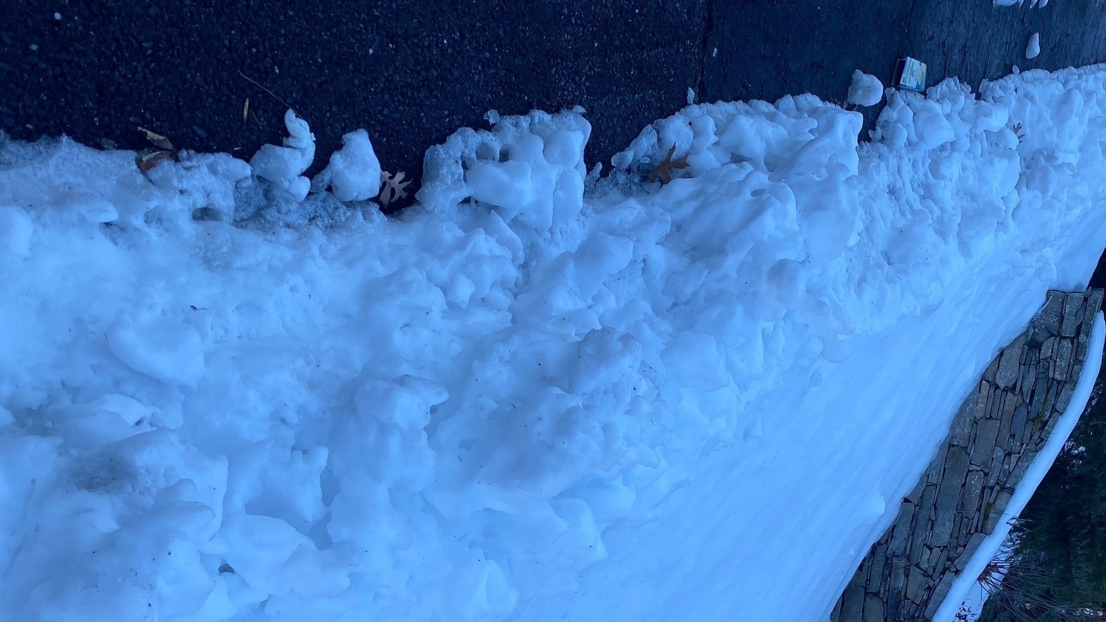 Petition · No path to Moreland Conservation at 10 Chiltern Hill Drive